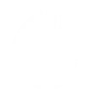 duploz-logo