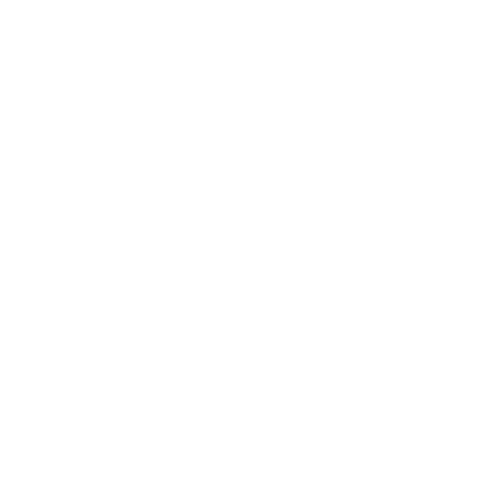 gemini111