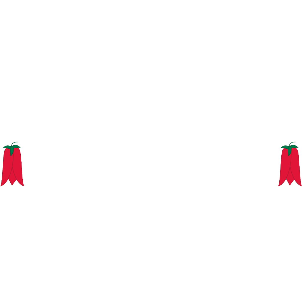 raicesmarytierra